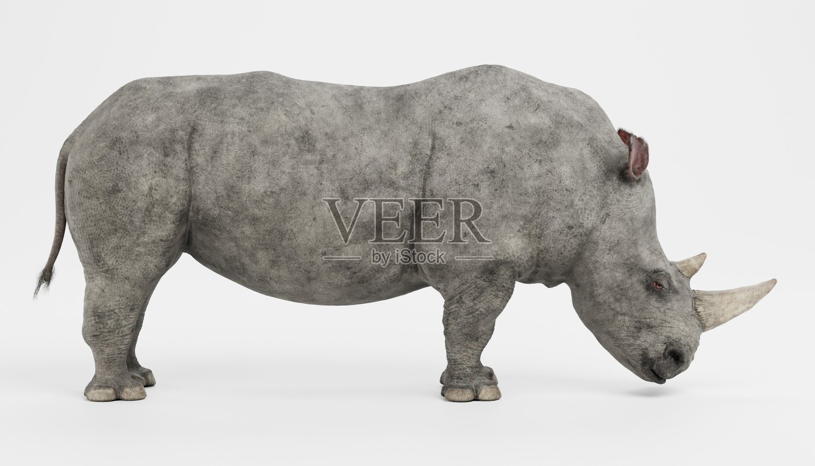 逼真的白犀牛的3D渲染照片摄影图片