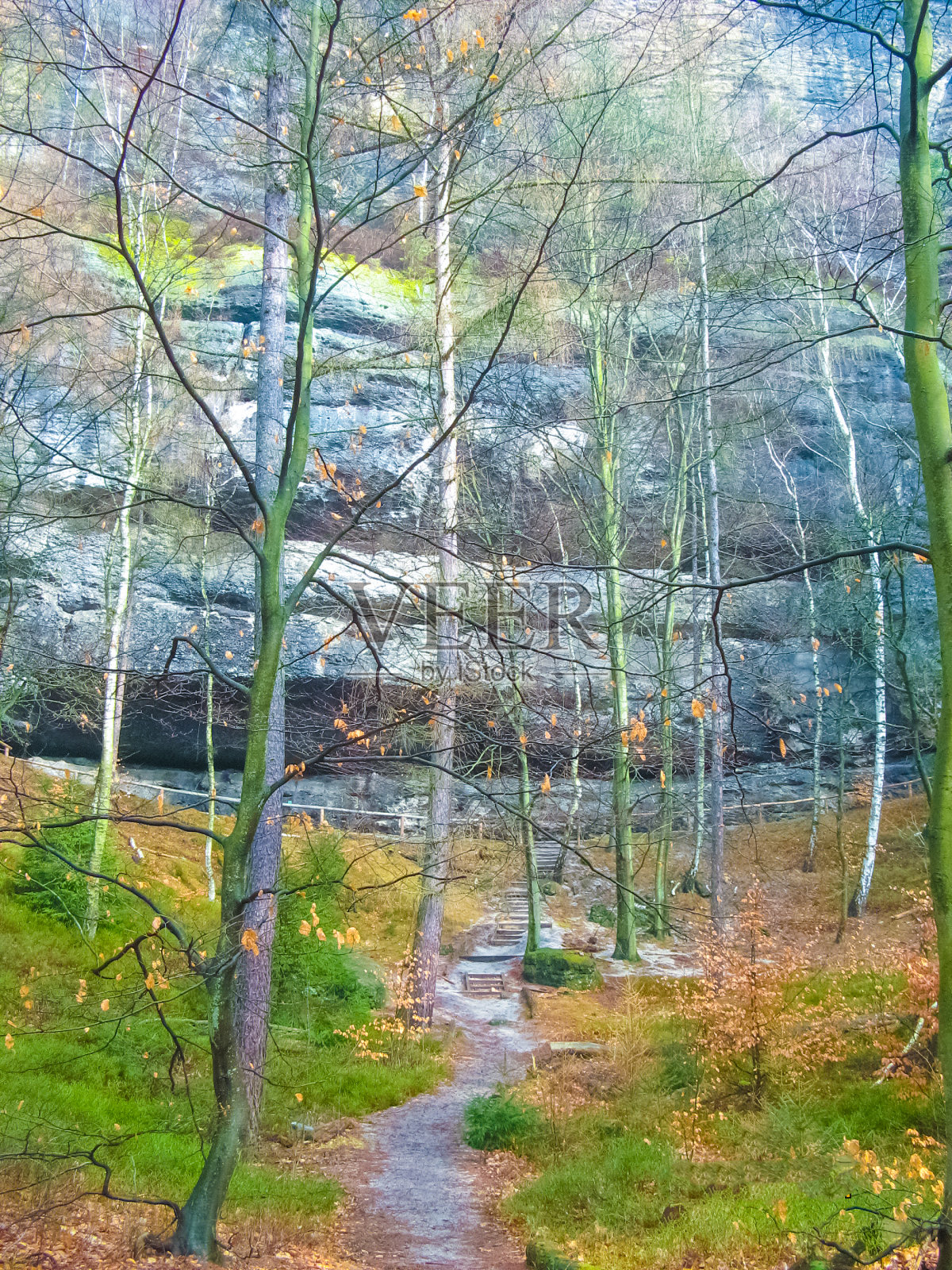 德国萨克森公园的石头照片摄影图片