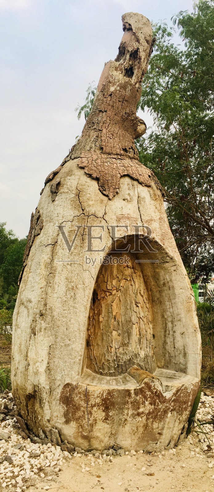 Al Bidda公园照片摄影图片