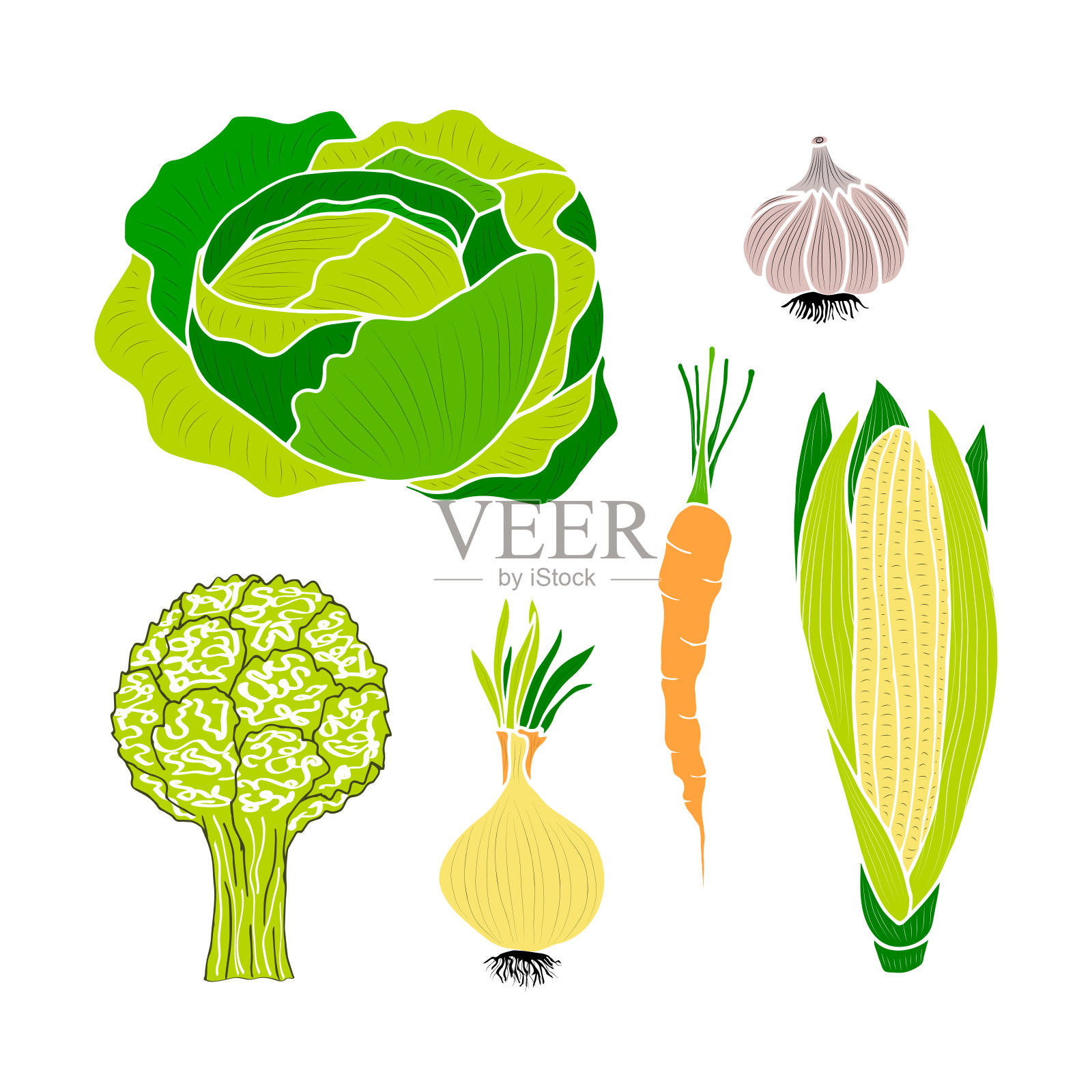 的蔬菜。插画图片素材