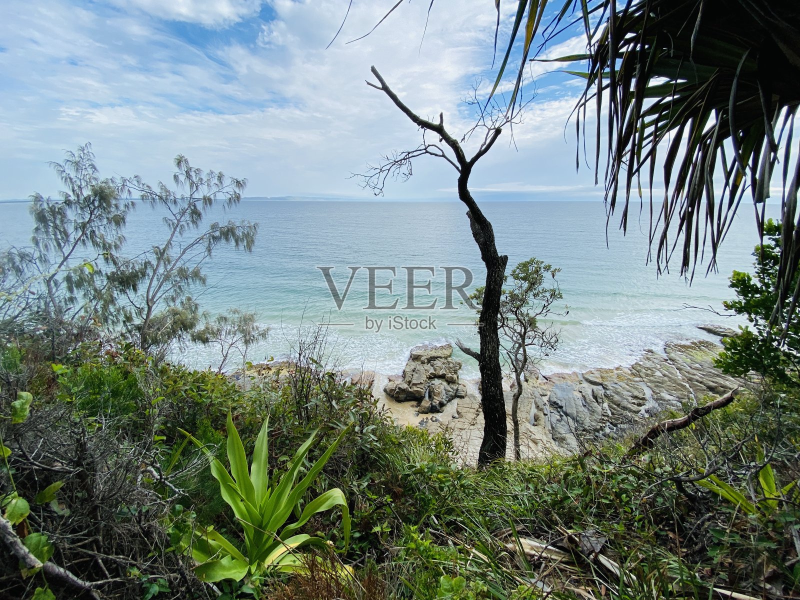 Noosa领导国家公园海岸景观照片摄影图片