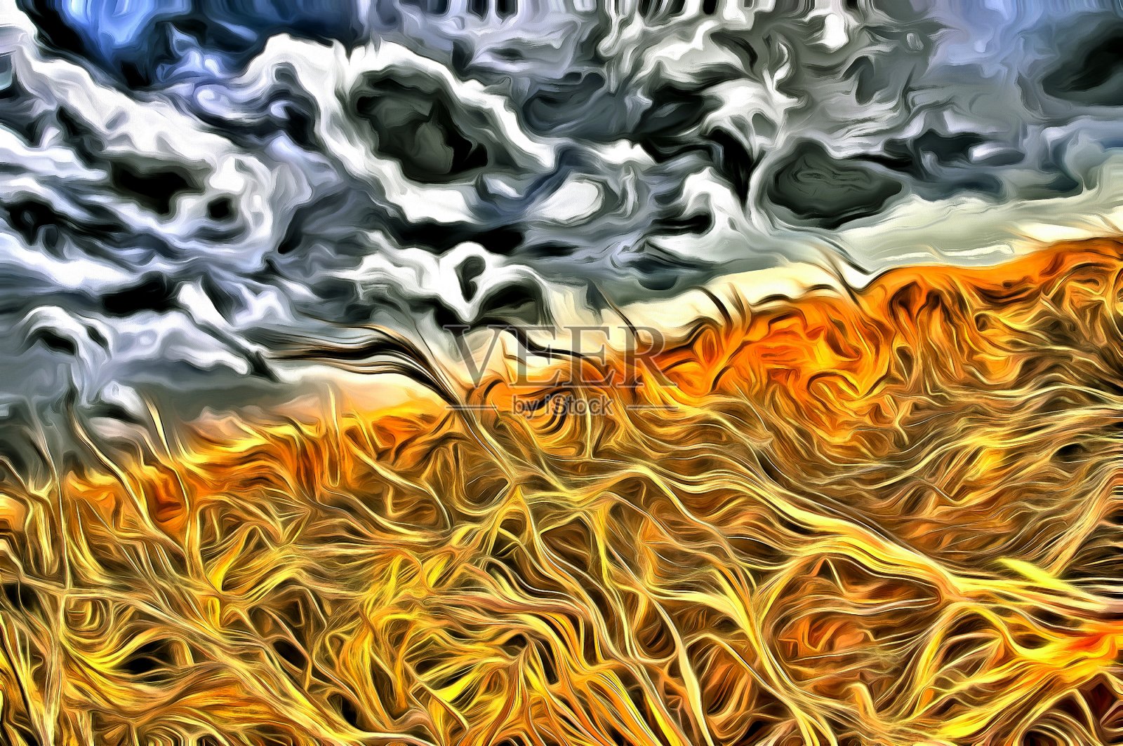 场的小麦照片摄影图片