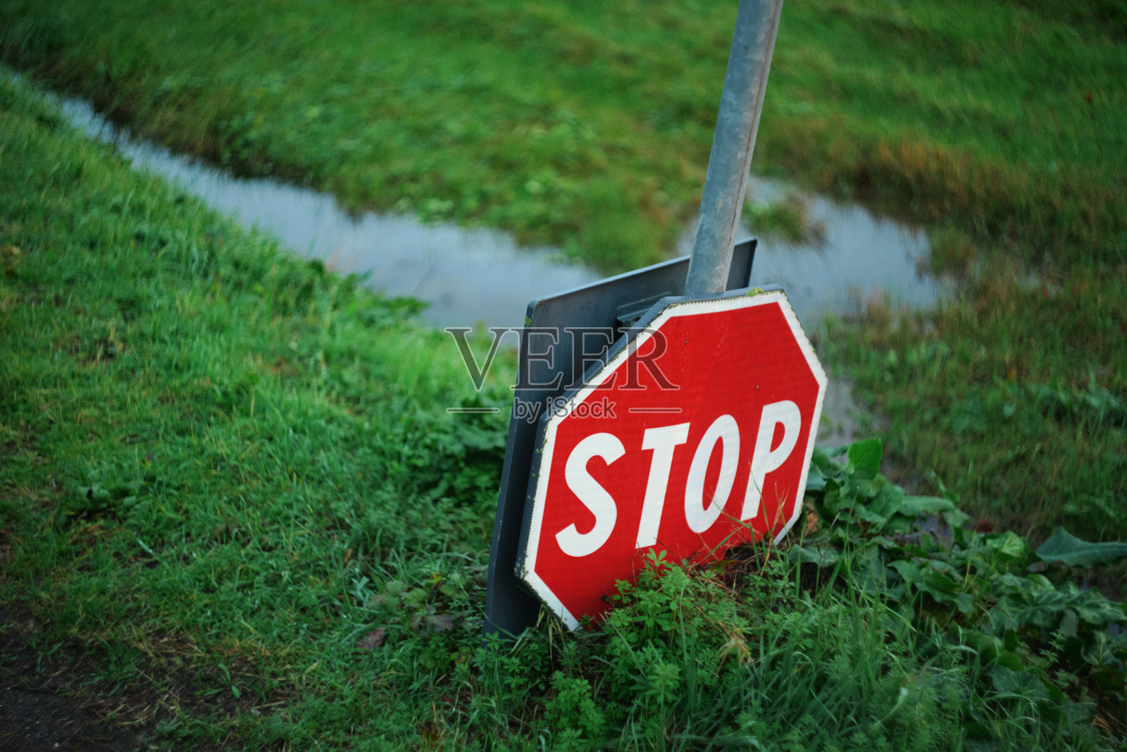 被水淹没的田地和停止标志照片摄影图片