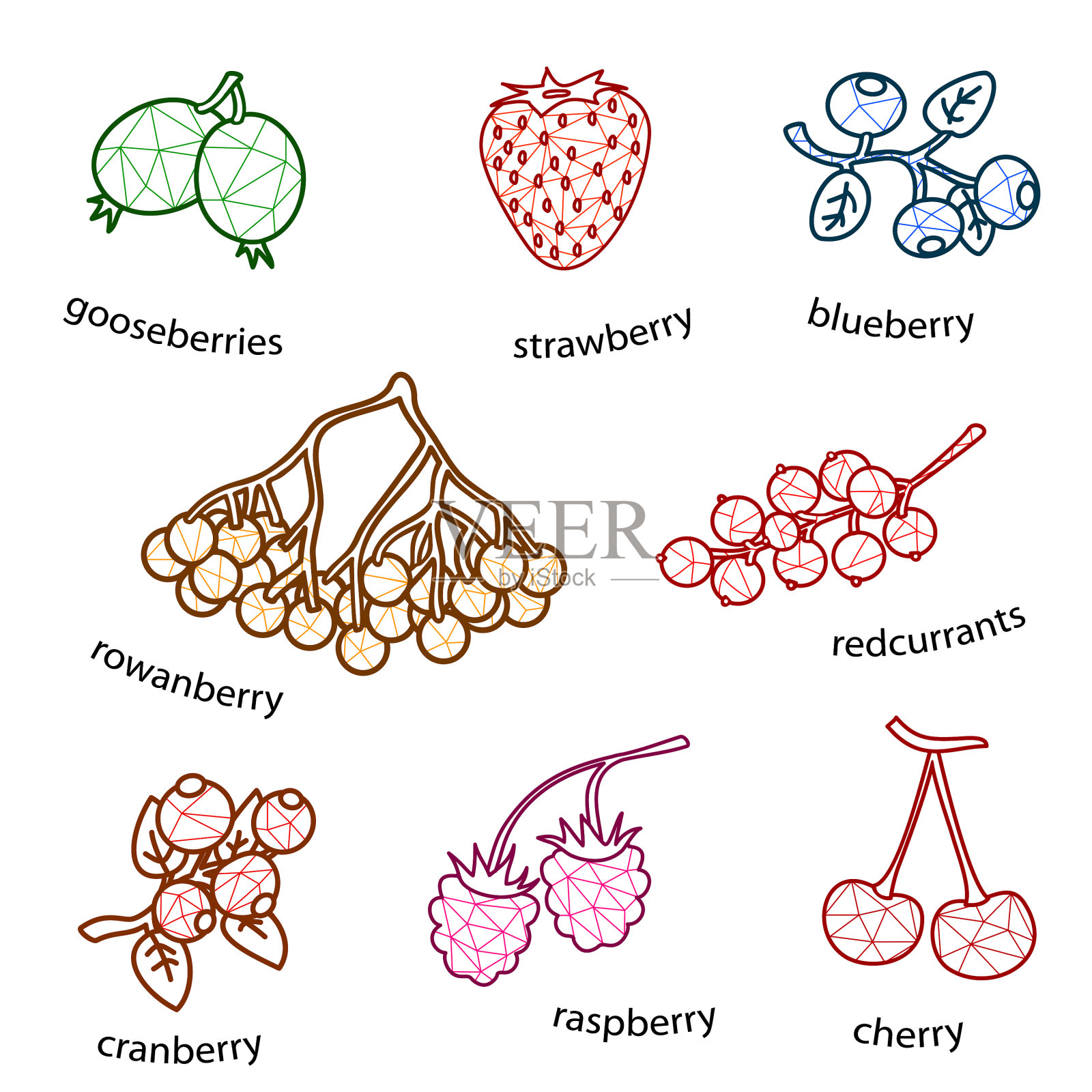 设计浆果设置在白色背景插画图片素材