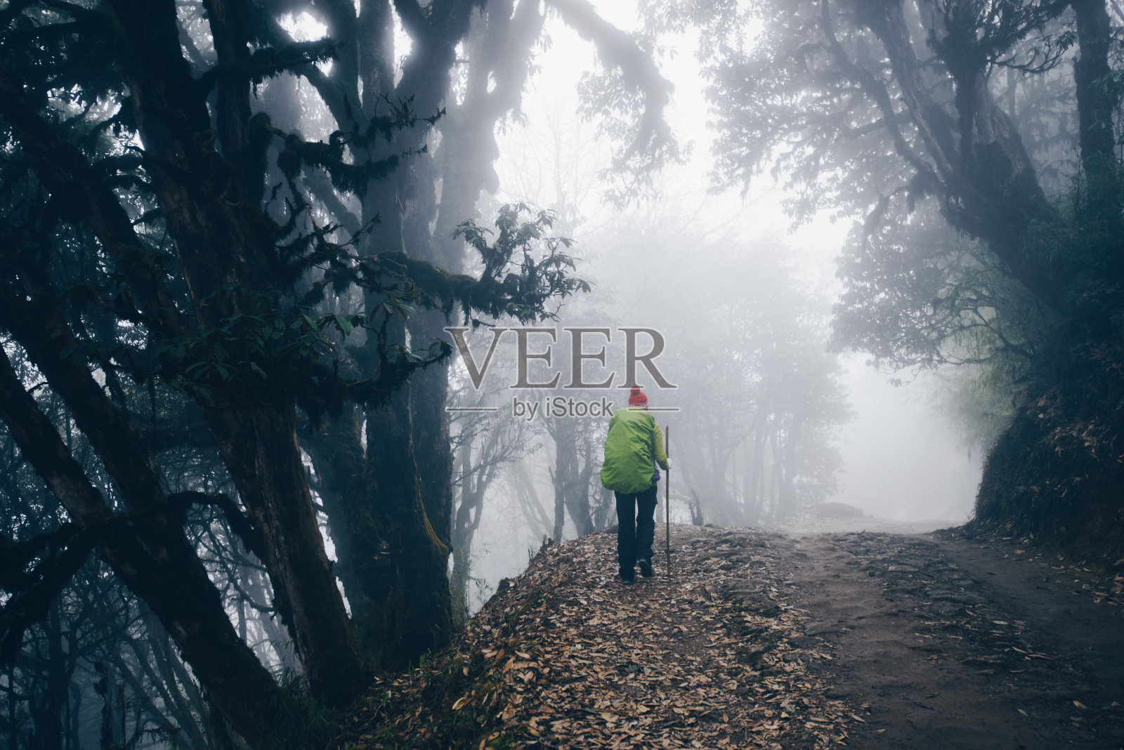 散步照片摄影图片