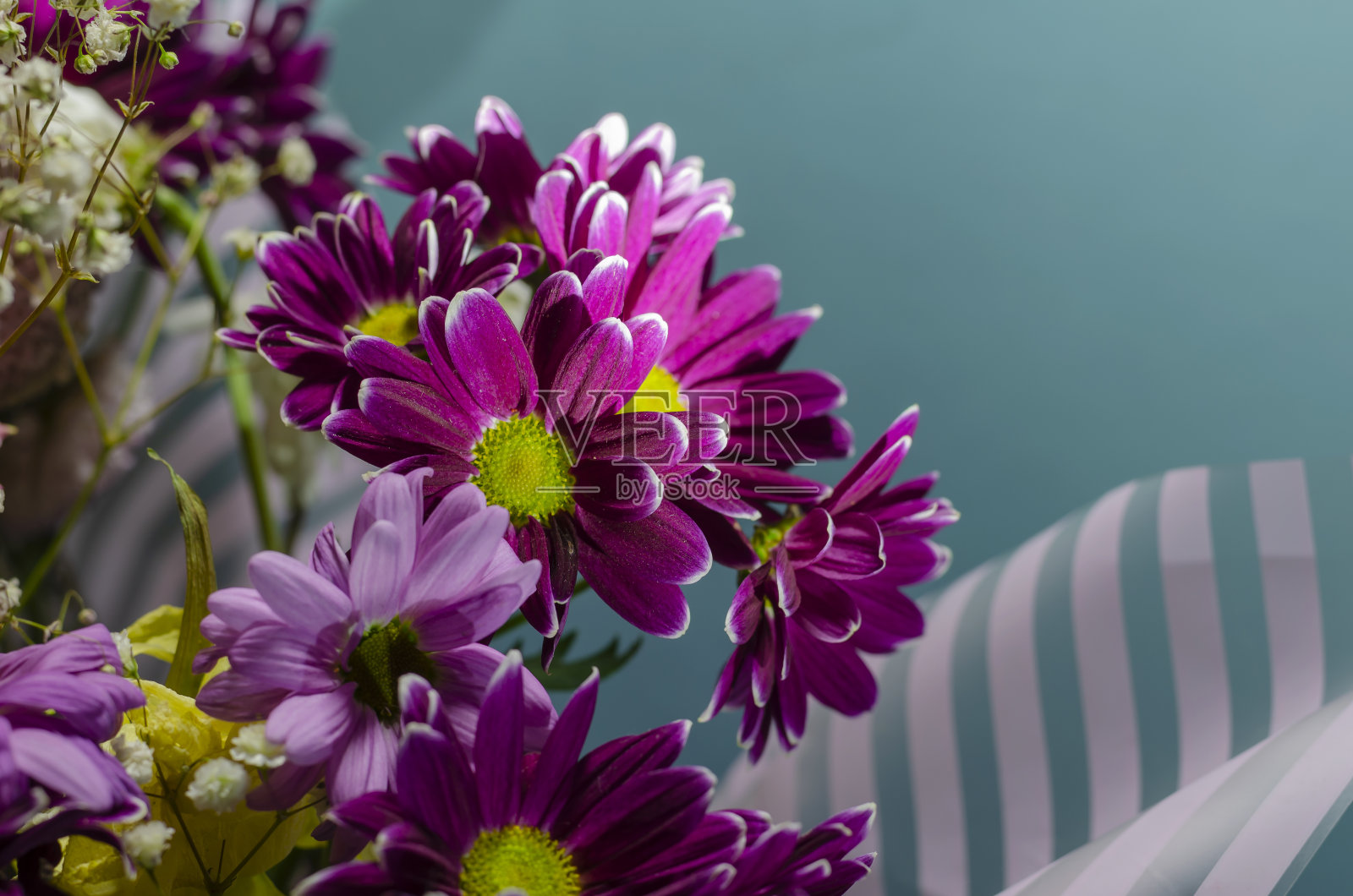 一束随机的花,条纹包装在浅蓝色的背景。照片摄影图片