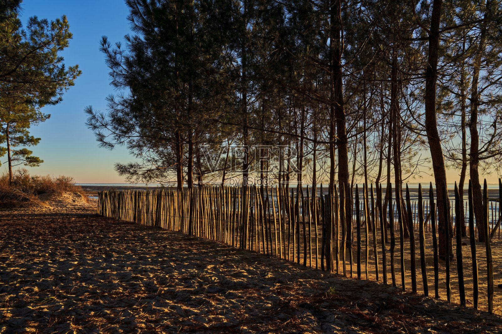 阿尔卡松湾的日落,沙滩上有木栅栏和树木照片摄影图片