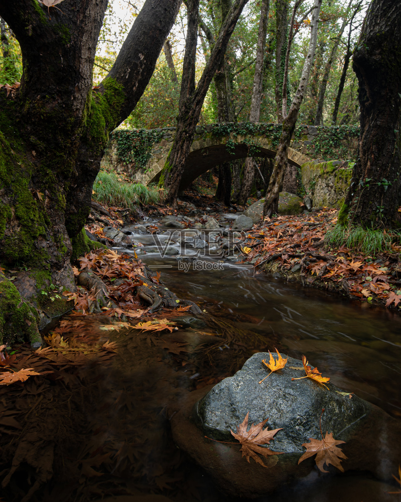秋季景观景观与河流流动下一座古老的石桥照片摄影图片