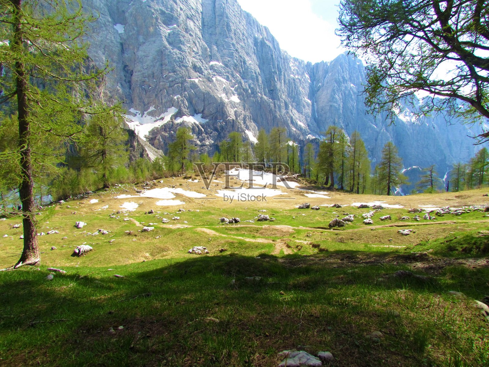斯洛文尼亚朱利安阿尔卑斯山脉耶泽尔卡草地上的雪照片摄影图片