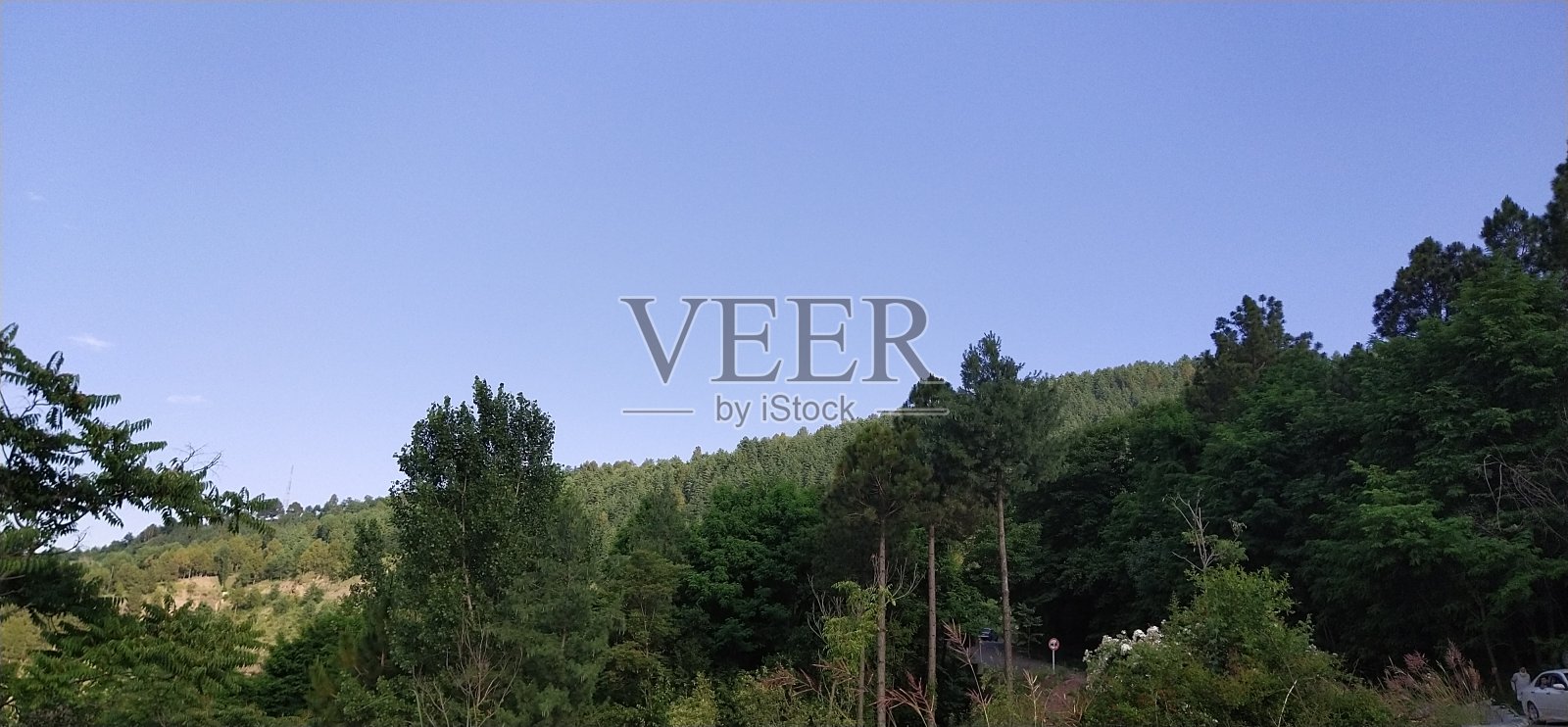 把手伸向天空照片摄影图片