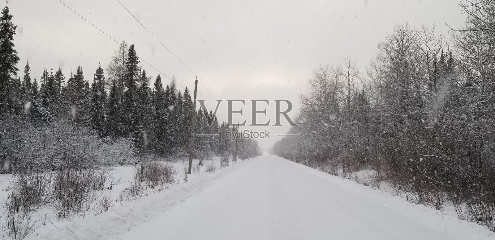 大雪照片摄影图片