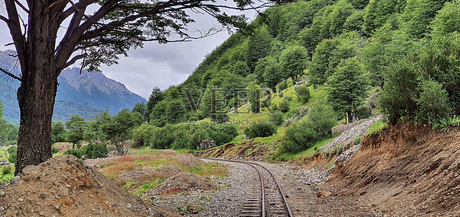 自然景观照片摄影图片