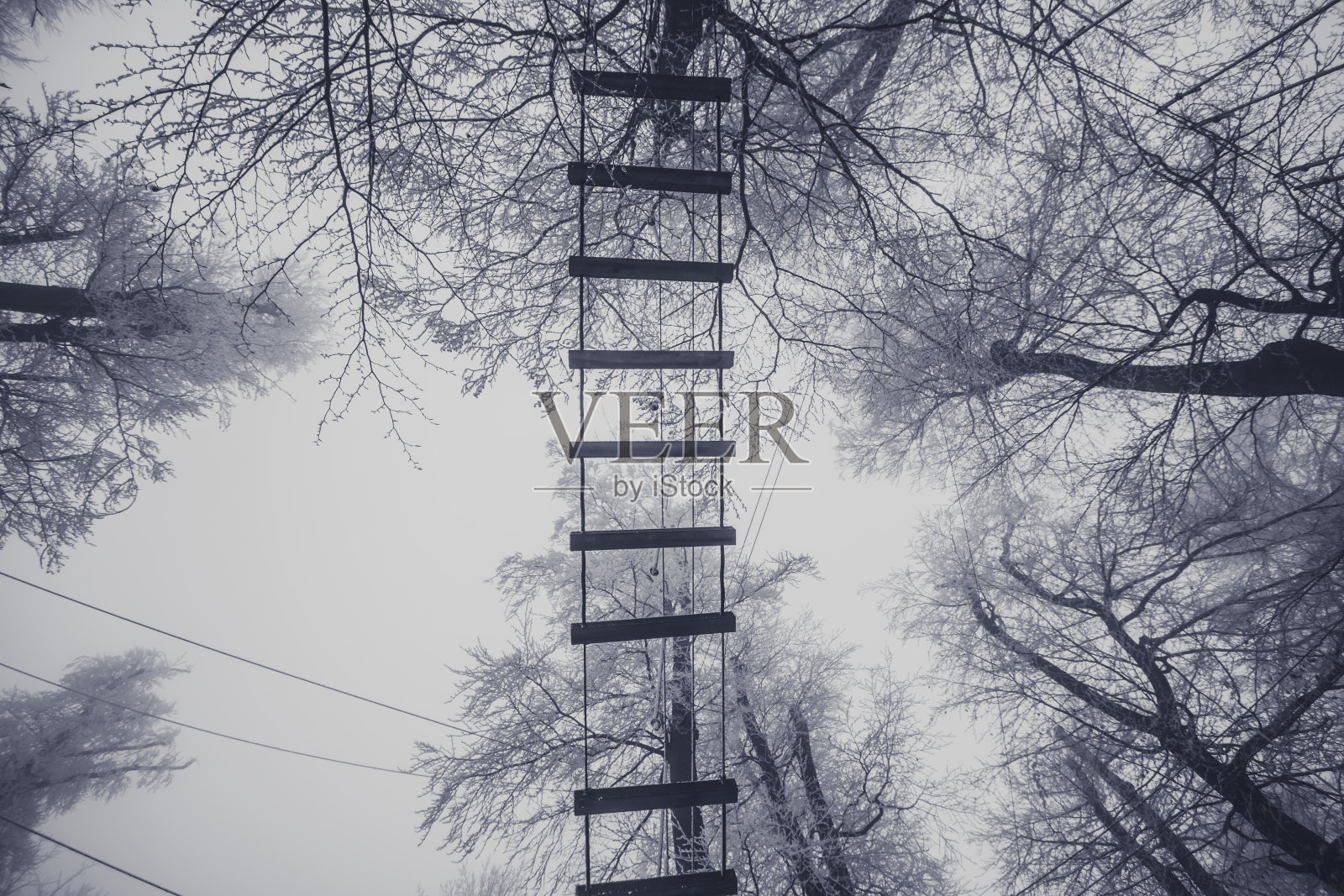 肾上腺素绳冒险游乐场在冬季与雪时间照片摄影图片