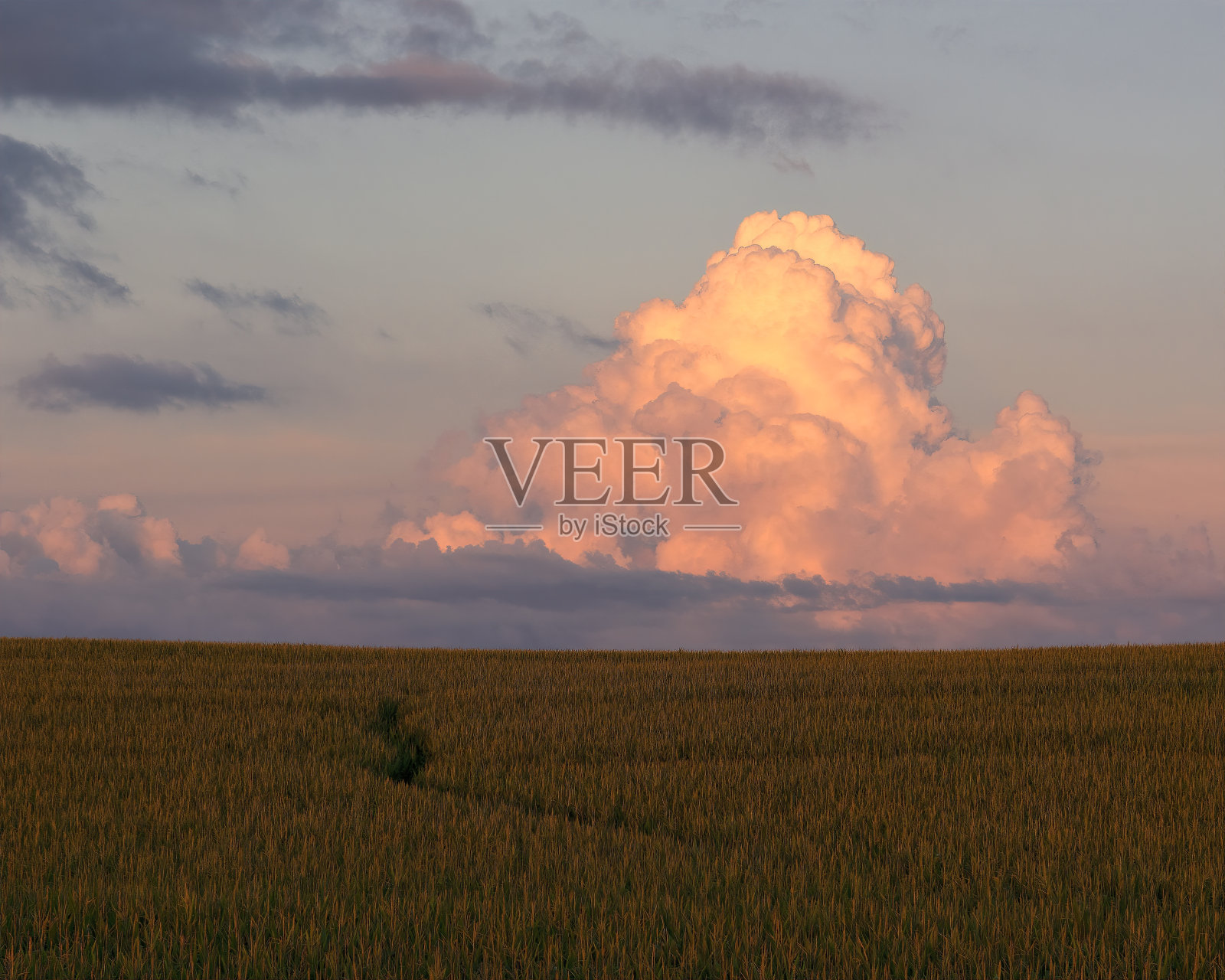 晚上云照片摄影图片