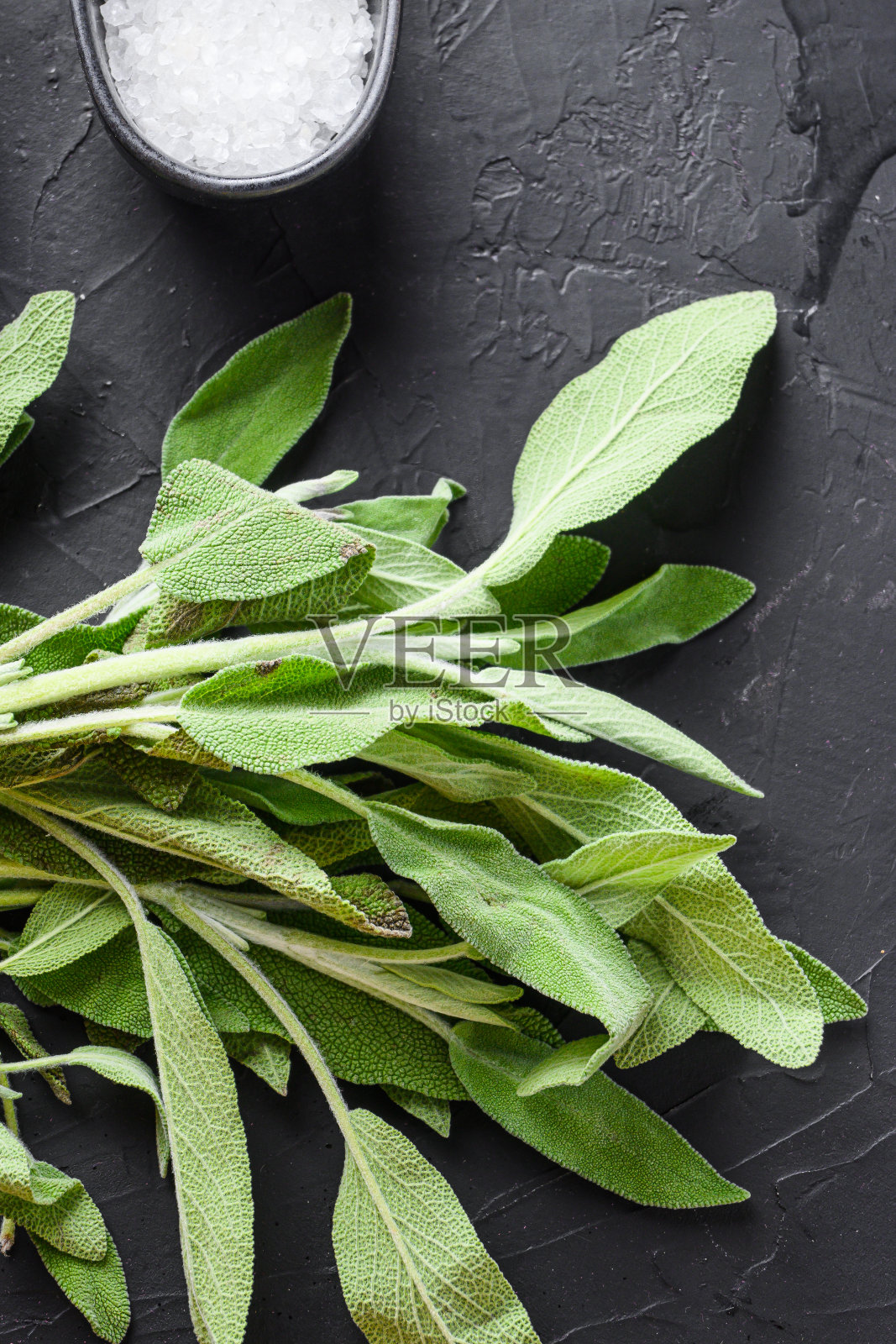 有机新鲜鼠尾草黑色背景俯视图。照片摄影图片