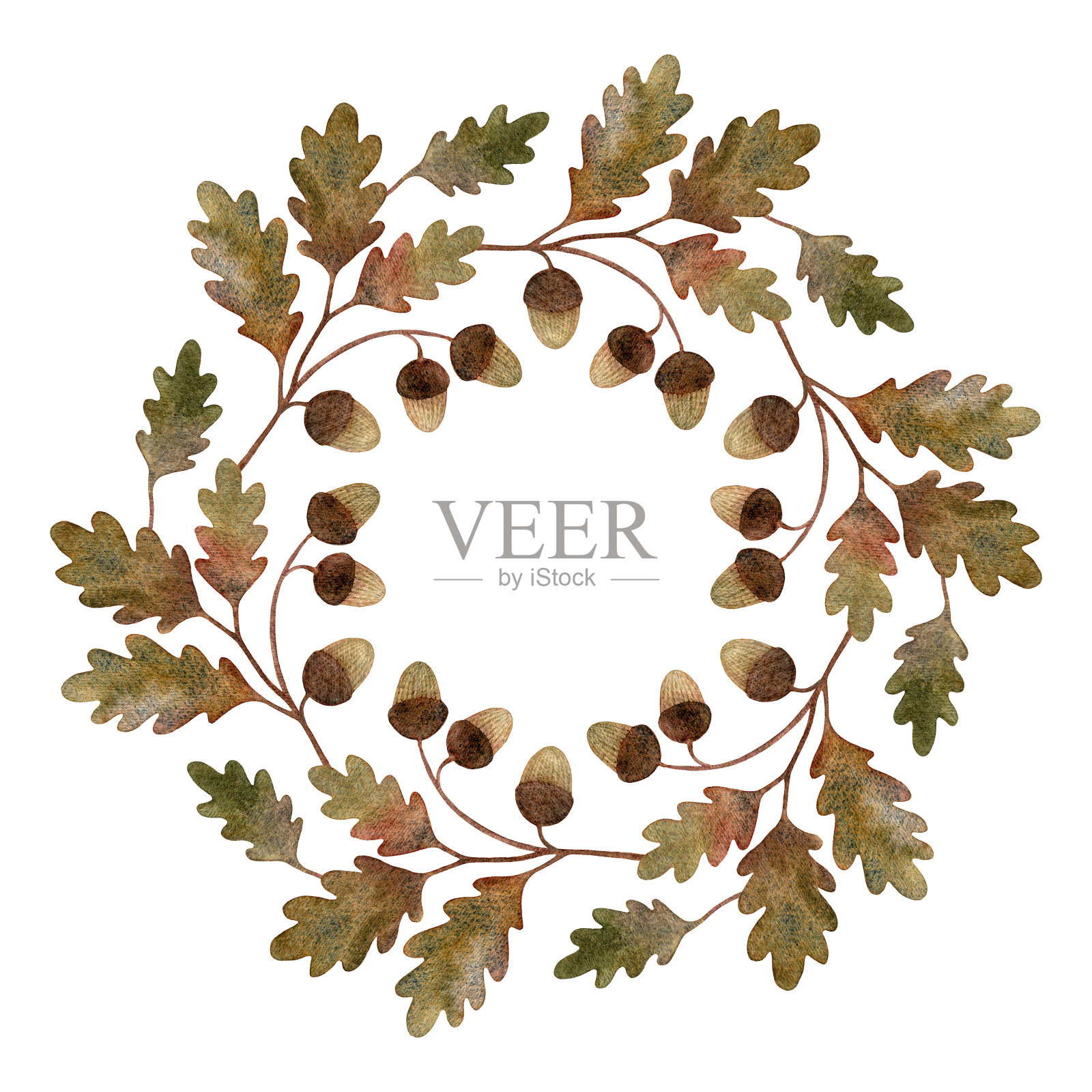 水彩橡木圈花环。装饰性的圆形框架孤立在白色背景上。秋天的季节。手绘的小树枝,有橡子和秋叶。插画图片素材