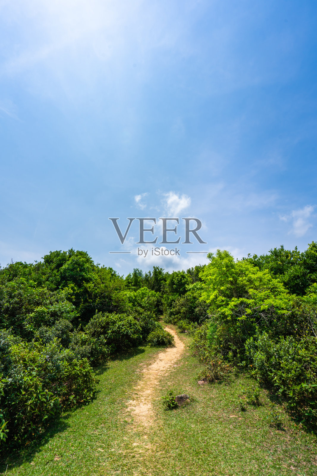 通往香港山区的徒步小径照片摄影图片