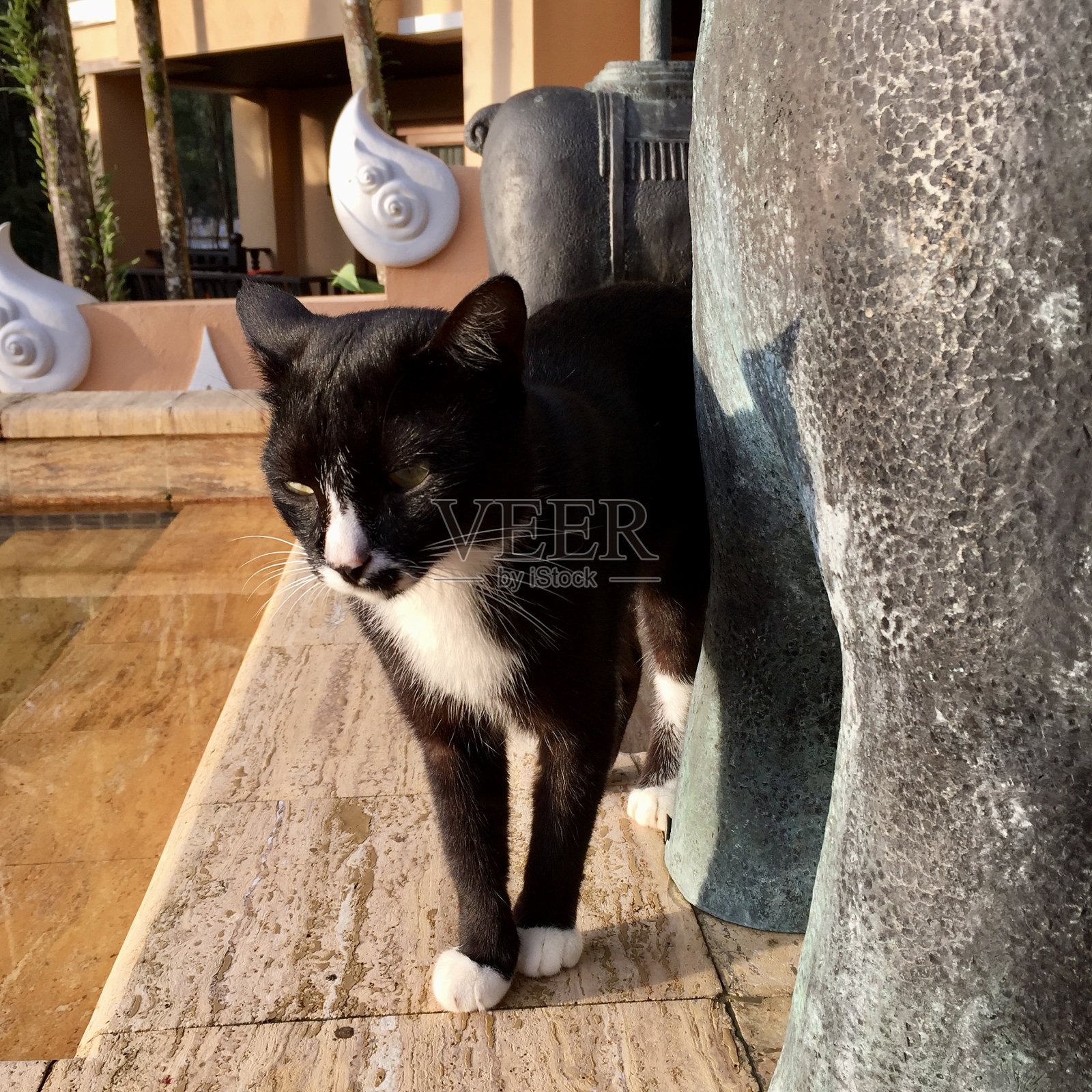 泰国美丽的酒店,在Tubkaek海滩照片摄影图片