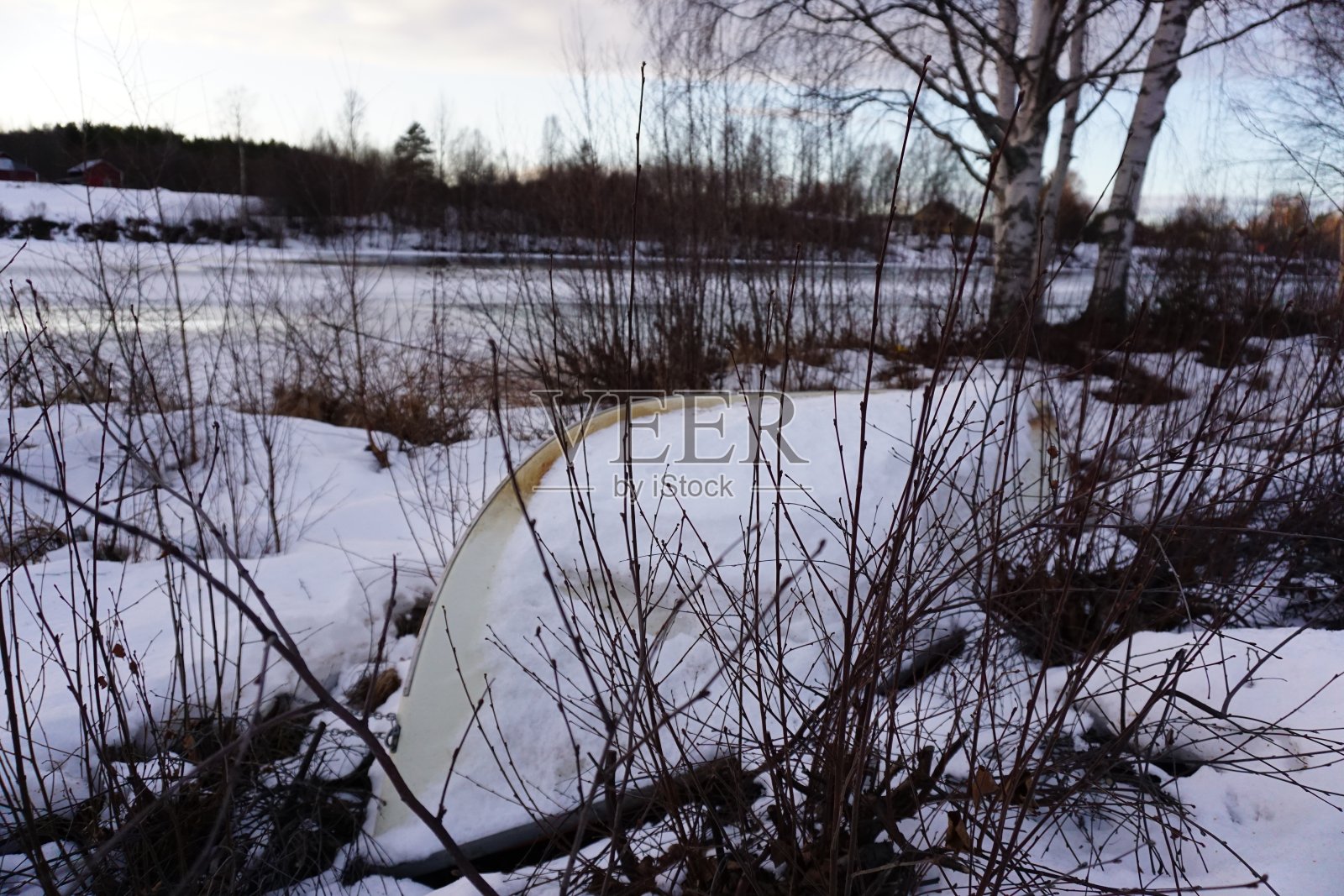 冬天照片摄影图片