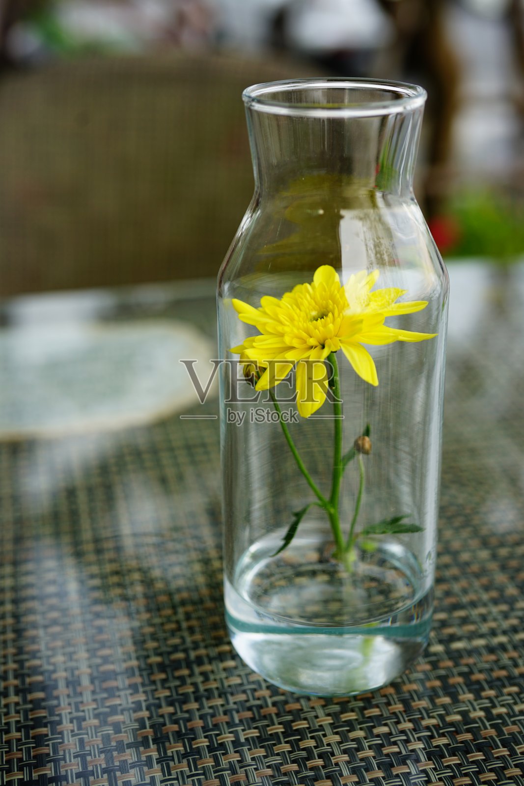 瓶中黄花照片摄影图片