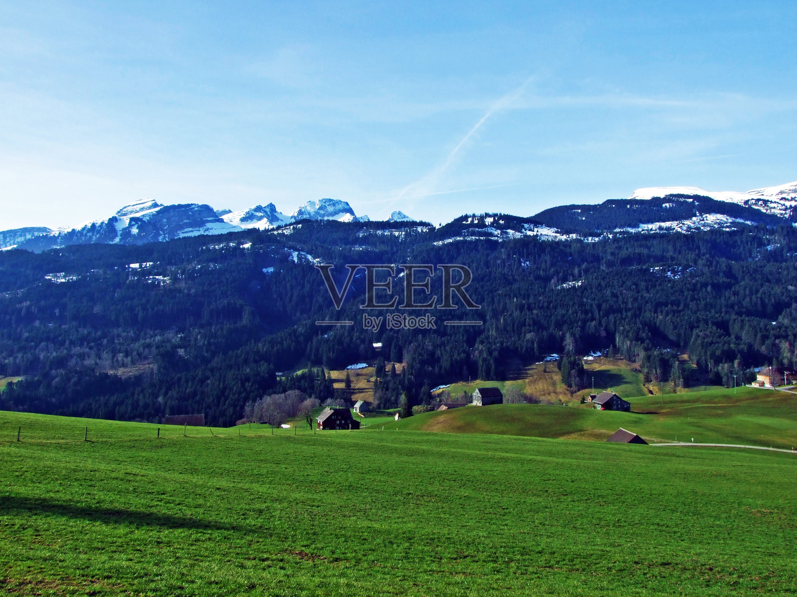 位于瑞士圣加伦州怀尔豪斯的图尔河谷的丘尔斯滕山脉山坡上的高山牧场和草地照片摄影图片