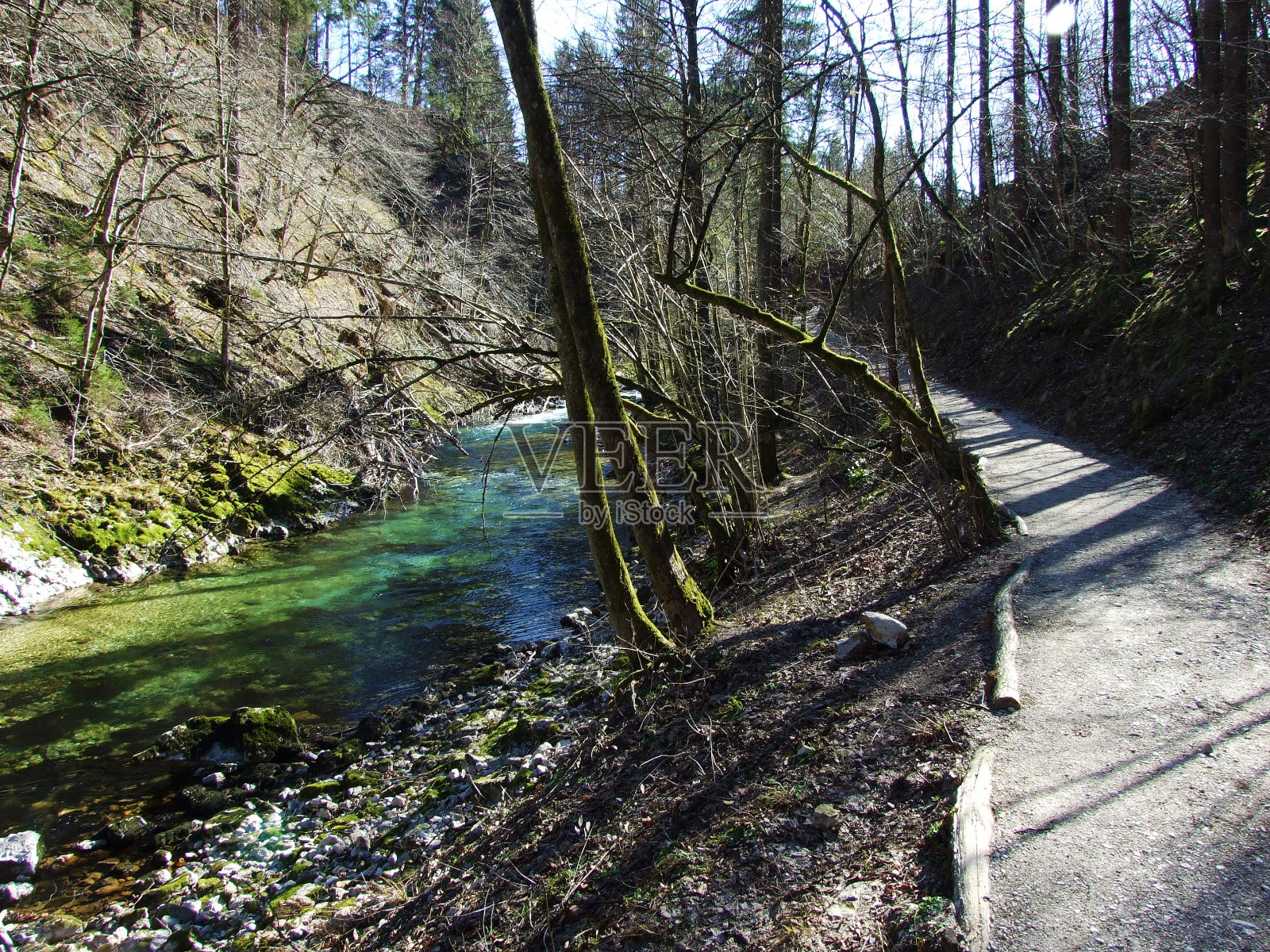 Vintgar Gorge或Radovna River (Soteska Vintgar ali Blejski Vintgar在Radovna)——斯洛文尼亚的Zgornje Gorje照片摄影图片