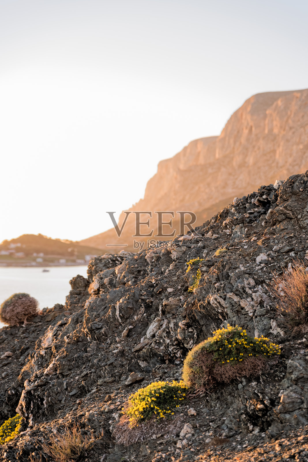 紧邻大海的种植园和背景中的特伦多斯岛。照片摄影图片