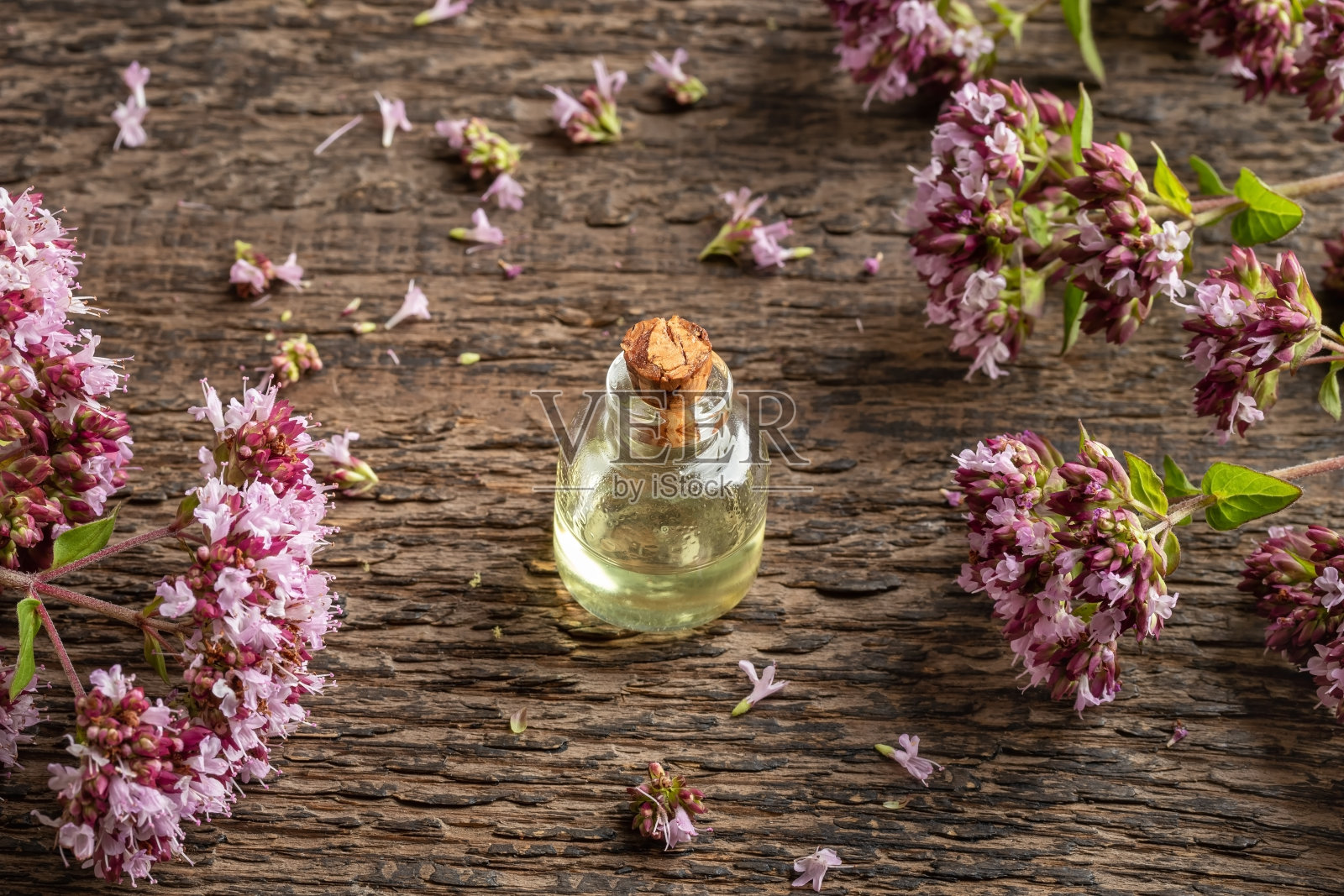 一个透明的精油瓶与新鲜盛开的牛至照片摄影图片