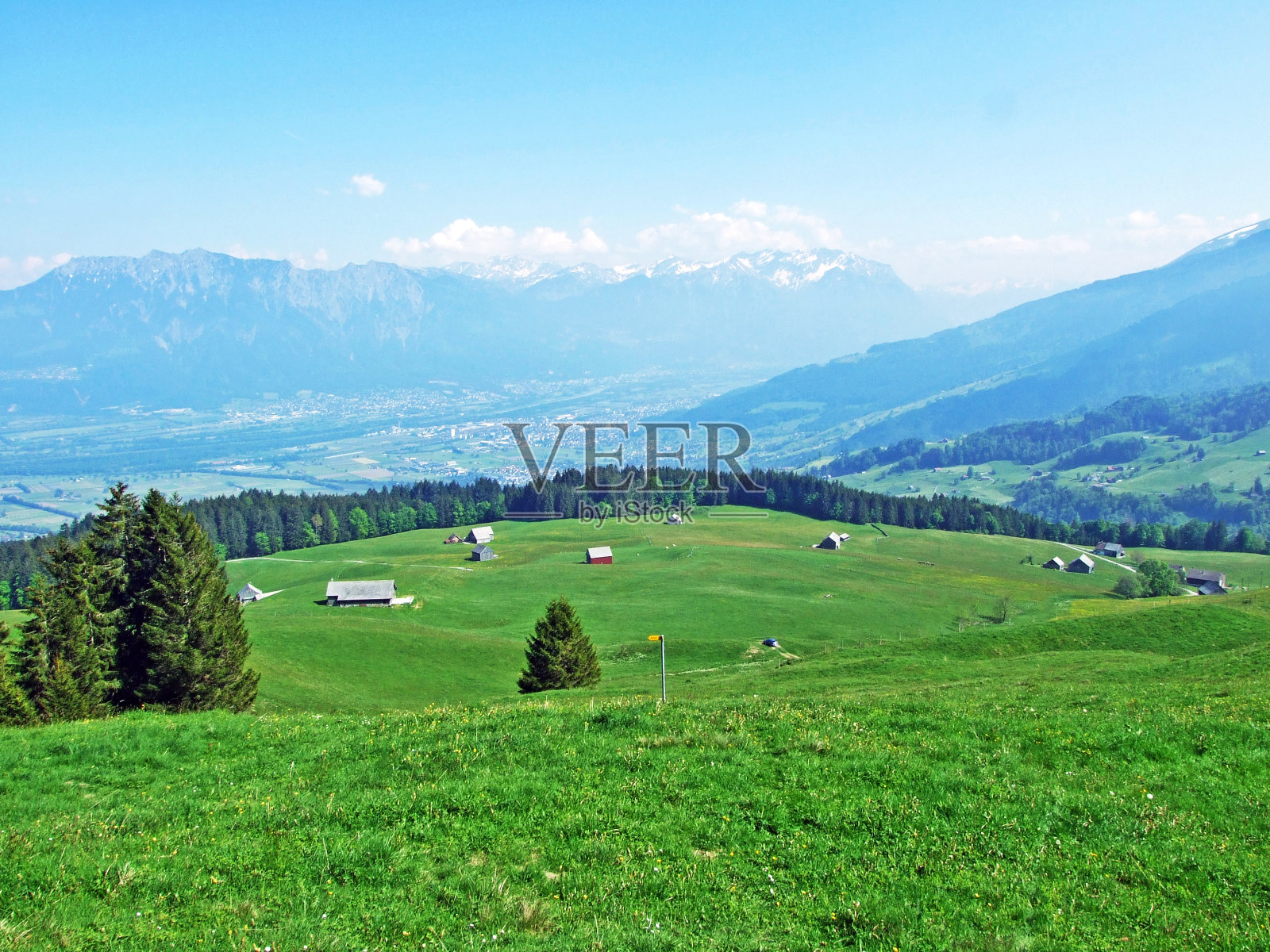阿尔卑斯山的牧场和草地,在阿尔卑斯山脉和莱茵河谷(莱茵河谷)的斜坡上,Gams -坎顿的圣加仑,瑞士照片摄影图片