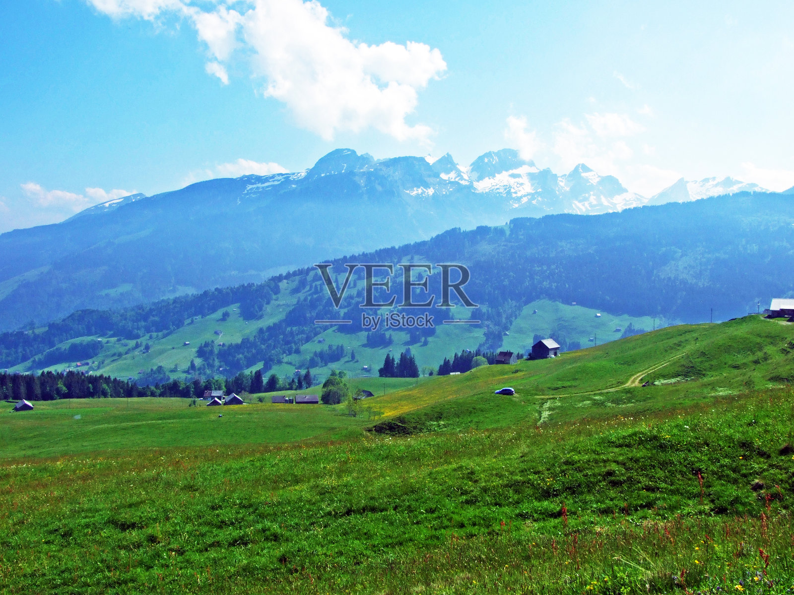 阿尔卑斯山的牧场和草地,在阿尔卑斯山脉和莱茵河谷(莱茵河谷)的斜坡上,Gams -坎顿的圣加仑,瑞士照片摄影图片