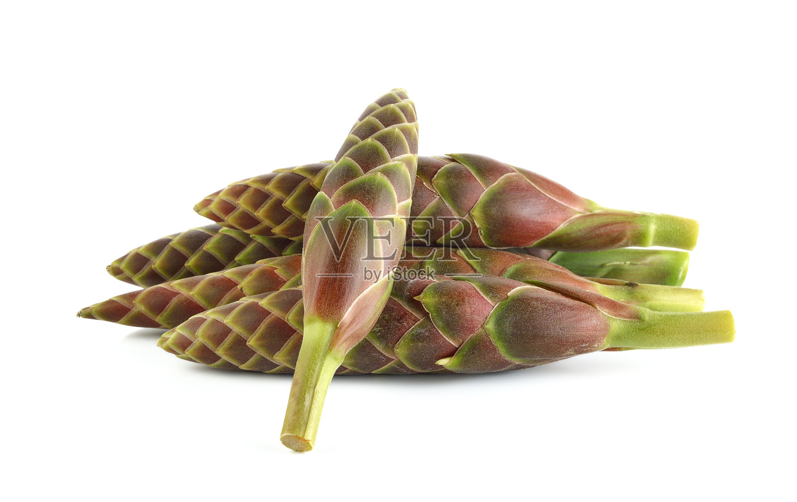 蒲莱(泰国名),姜粉,孟加拉根,花照片摄影图片