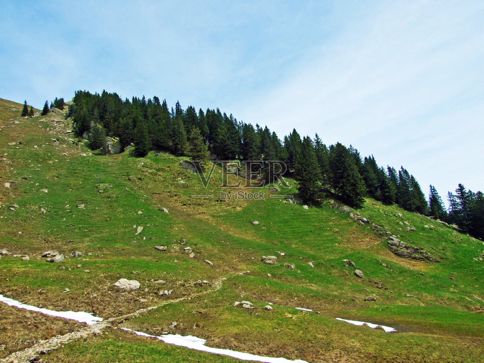 阿尔卑斯山的牧场和草地在图尔河谷和Obertoggenburg地区,尼斯劳-圣加伦州,瑞士照片摄影图片