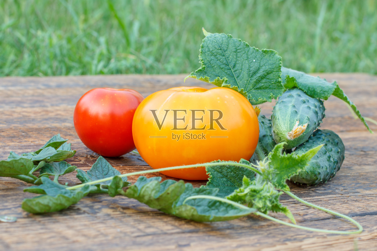 木板上有黄瓜和番茄的叶子。照片摄影图片