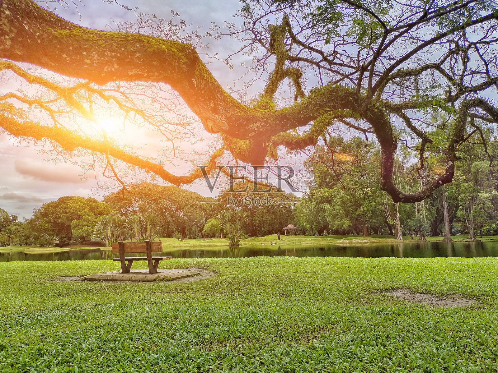 太平湖园林景观照片摄影图片