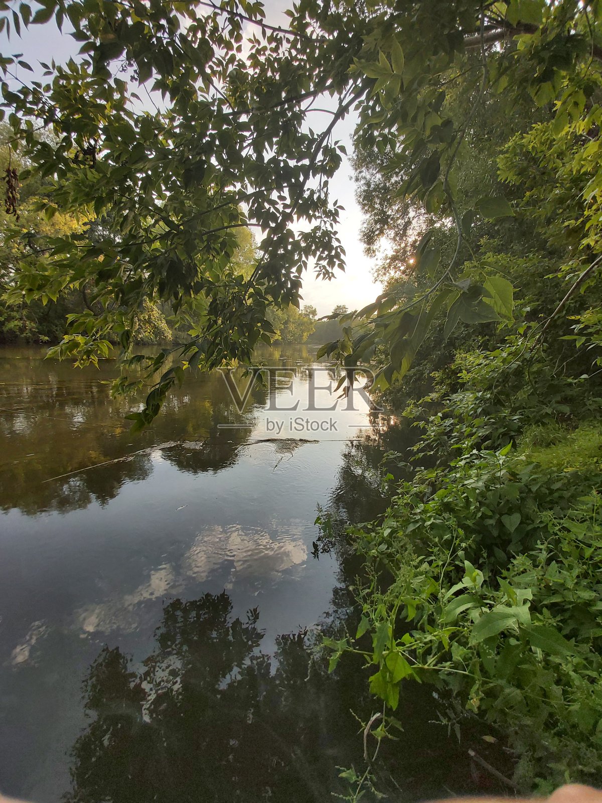 普里罗达照片摄影图片