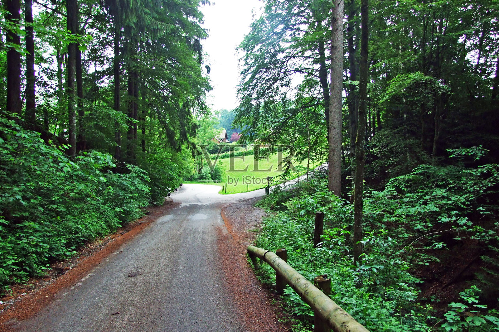 森林公园与步道和圣加伦-瑞士的城市全景照片摄影图片