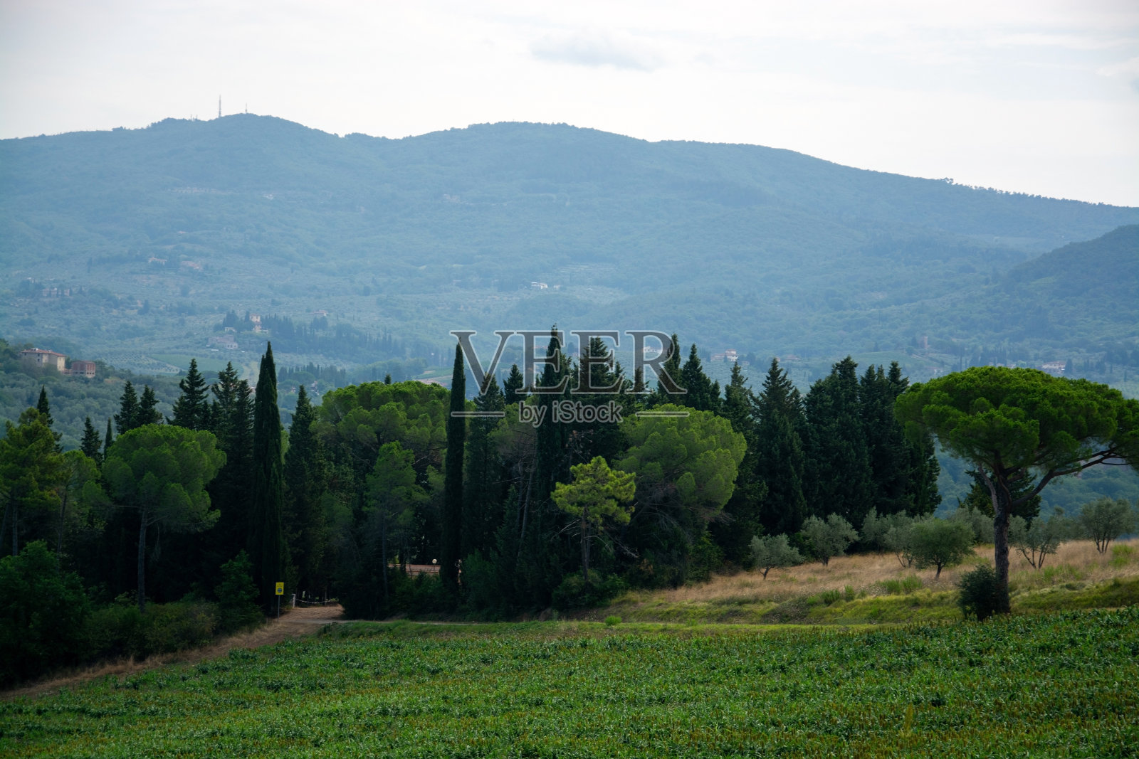 意大利托斯卡纳的风景照片摄影图片