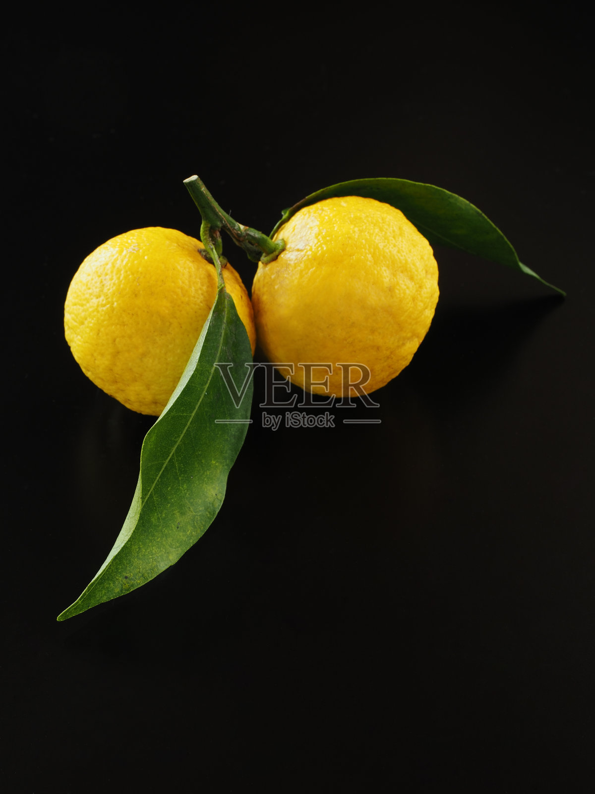 黑色背景上的日本柚子照片摄影图片