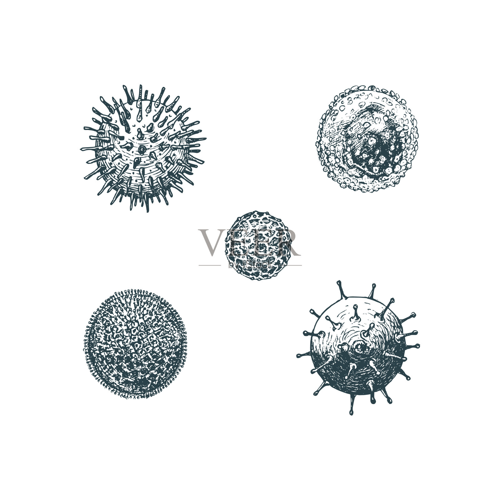 病毒类型,一组手绘矢量图。冠状病毒2019-nCoV和其他类型的复古雕刻风格。插画图片素材