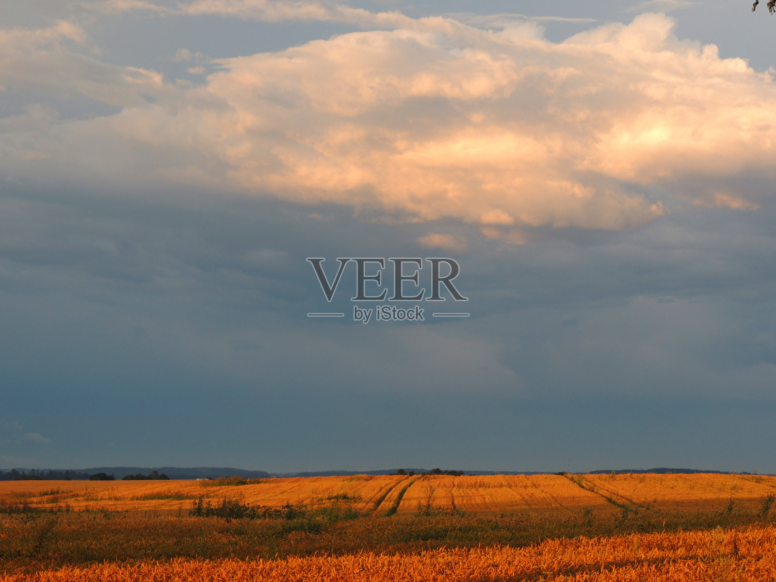 夏天的夜晚。雷云和田野在夕阳的光芒中。美丽的景色照片摄影图片