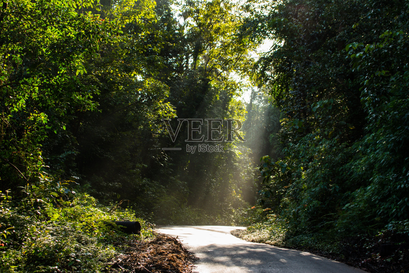 紫外线照片摄影图片