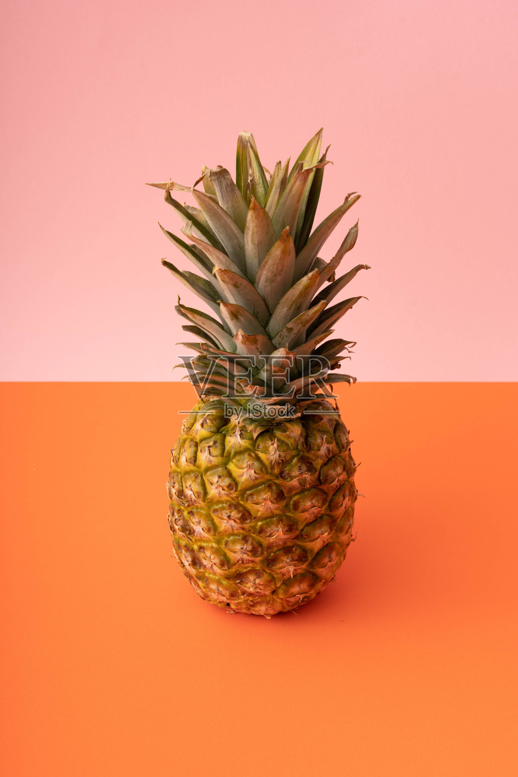 粉红和橙色背景上的菠萝。抽象色彩艺术背景。前视图。平的。照片摄影图片