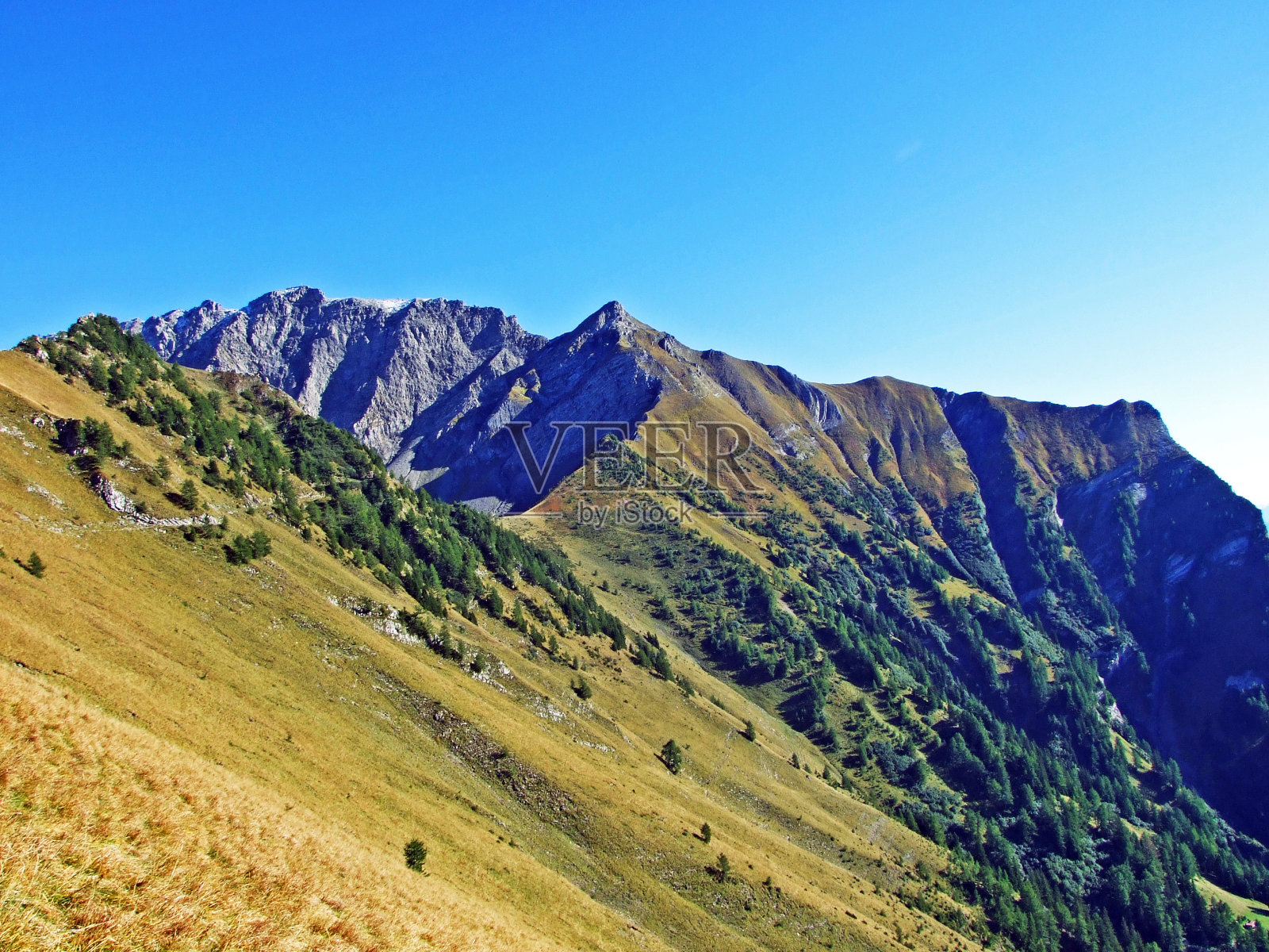 风景如画的拉提孔山峰的边界高山山脉或Rätikon Grenzmassiv (oder Raetikon), Mainfeld - Grisons州(Graubünden或Graubuenden),瑞士照片摄影图片