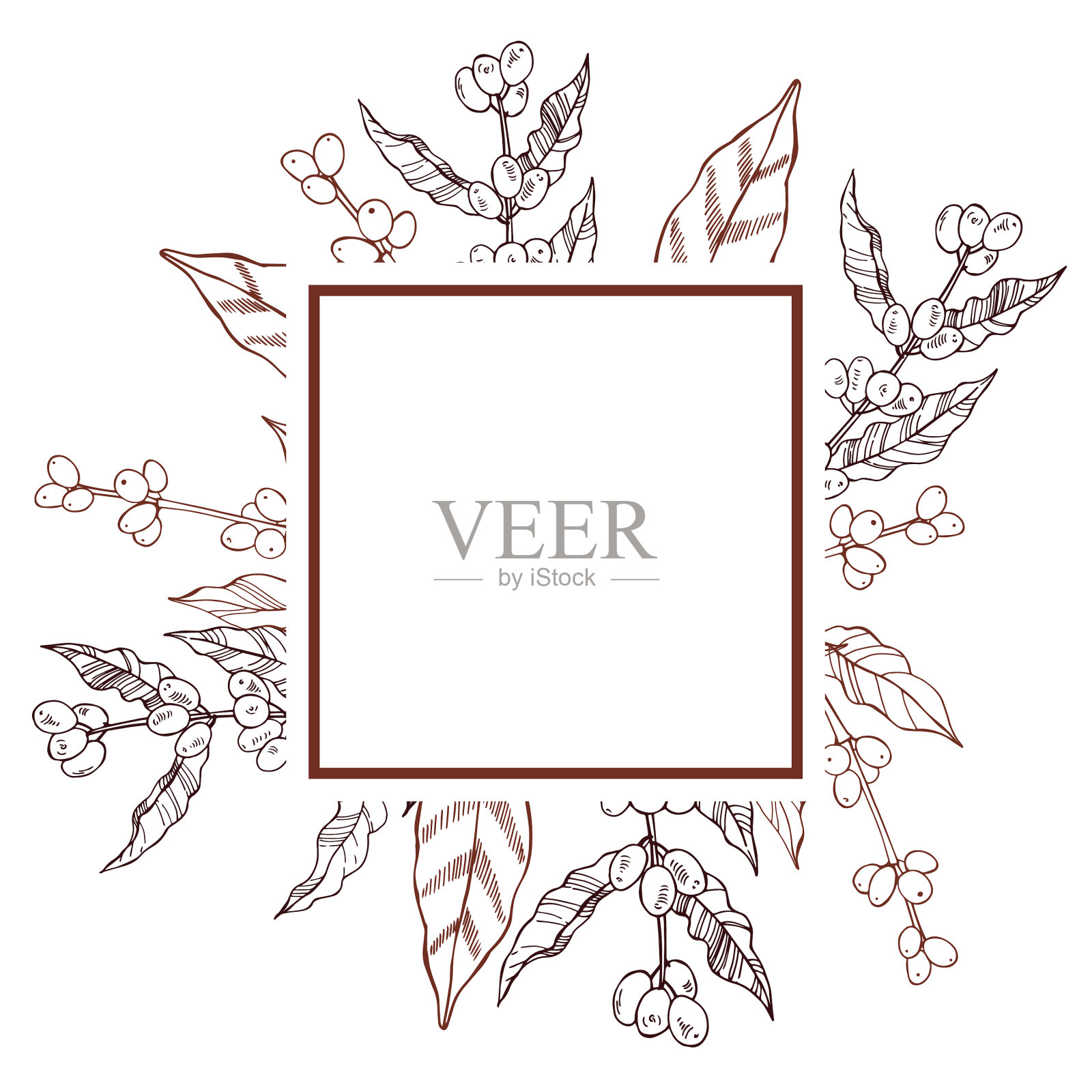 框架与手绘咖啡树插画图片素材