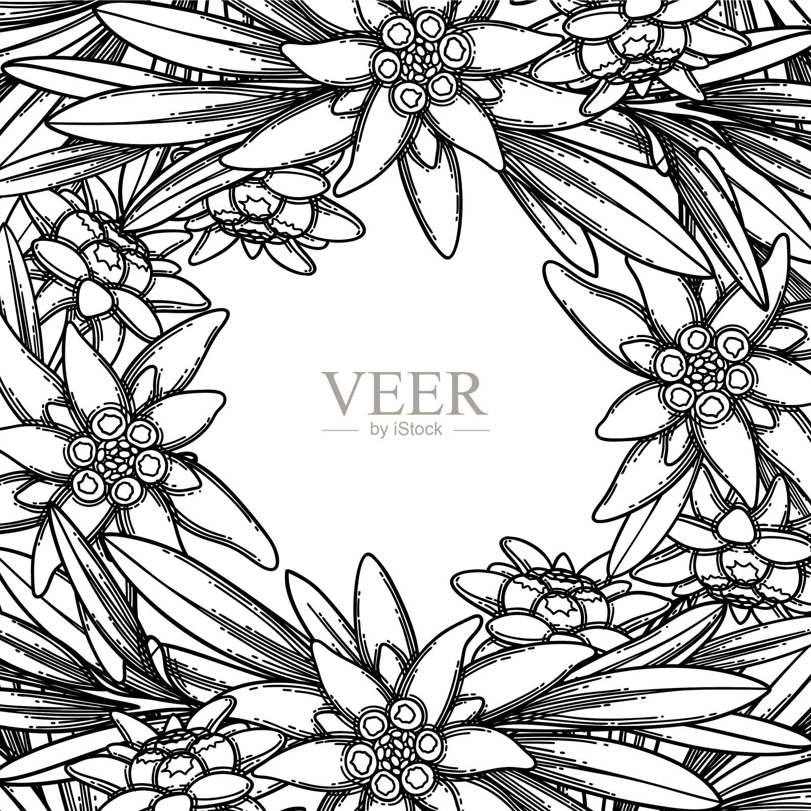 图案的雪绒花和叶子插画图片素材