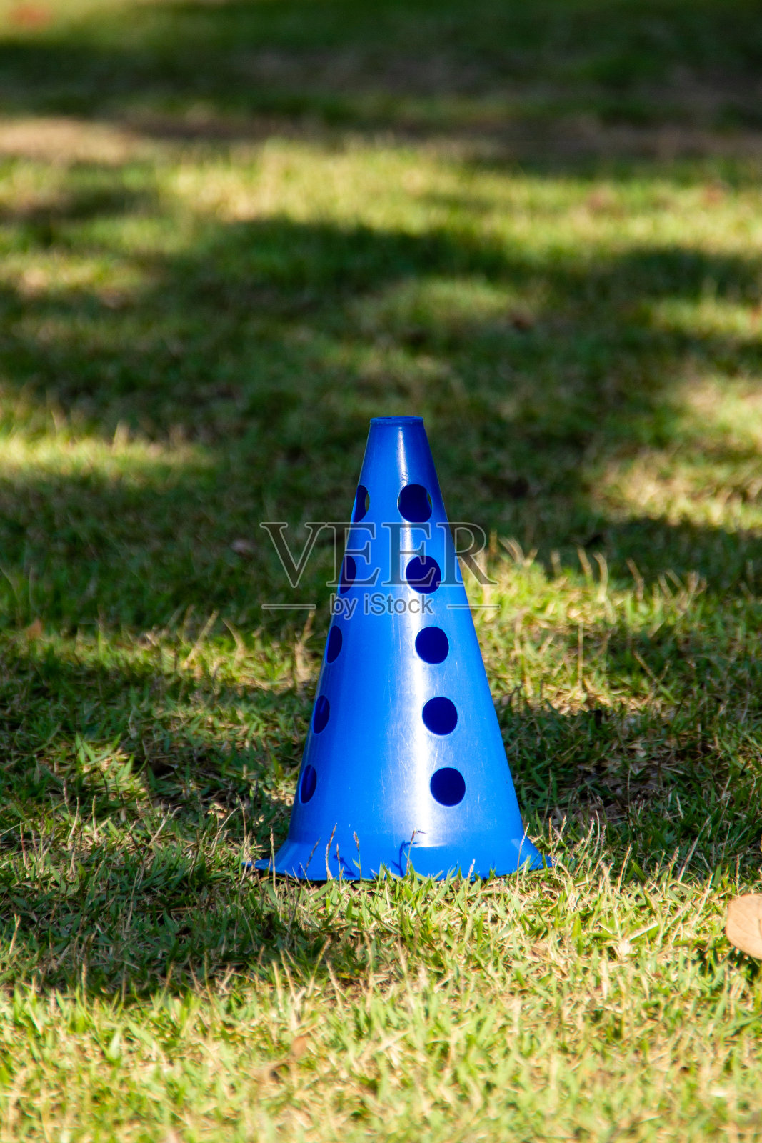 在里约热内卢的草地上练习的圆锥体照片摄影图片