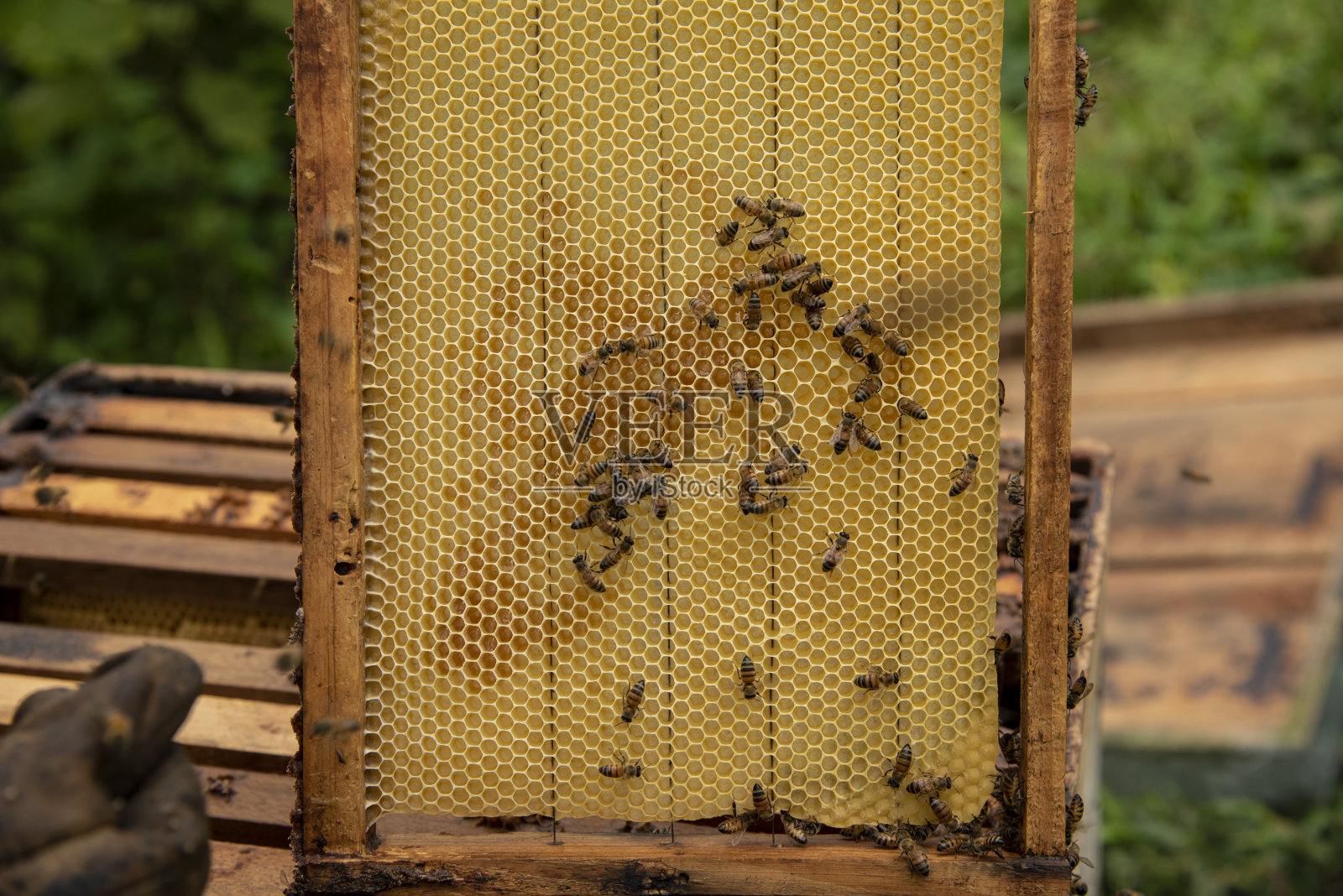 人工的照片照片摄影图片