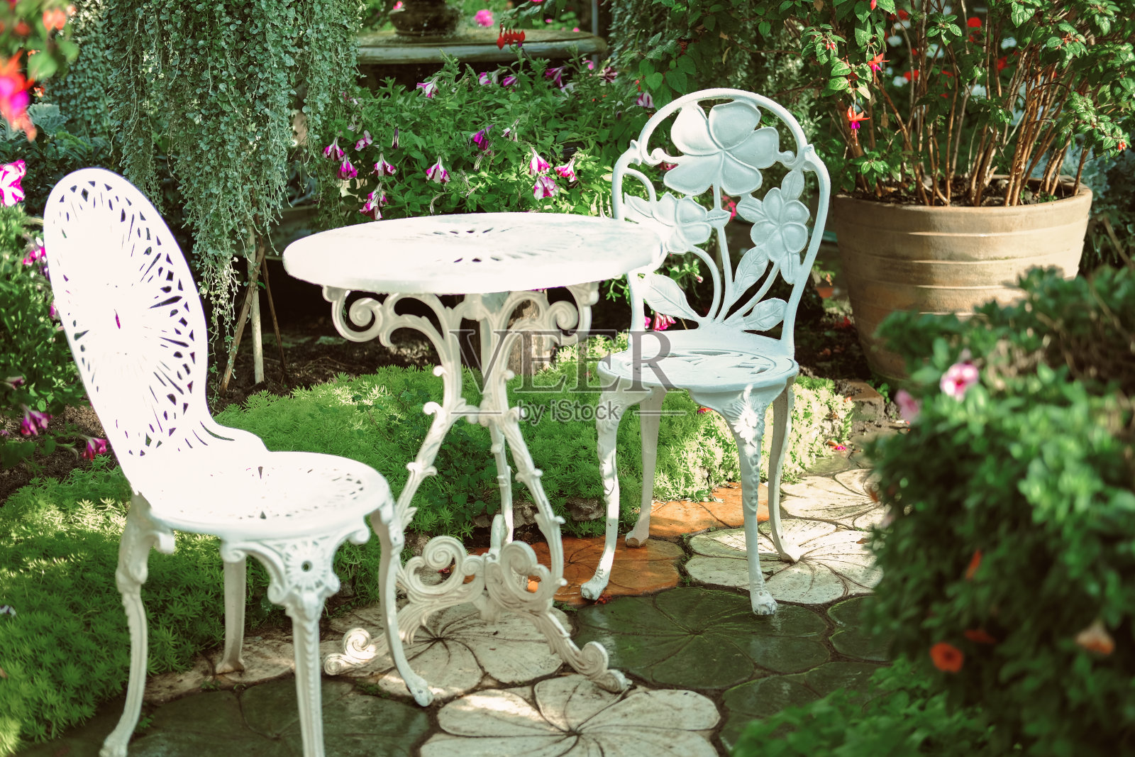 白色金属座椅在花园公园照片摄影图片