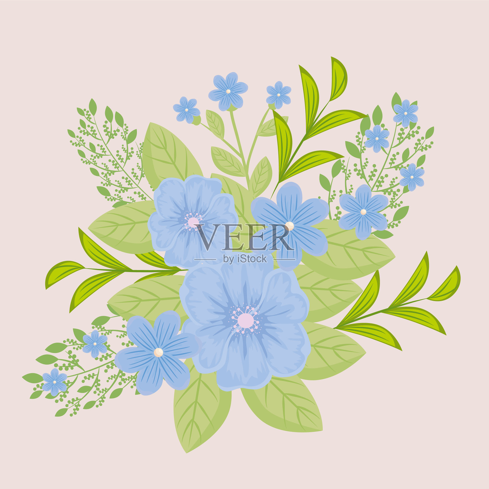 花蓝色,枝与叶自然插画图片素材