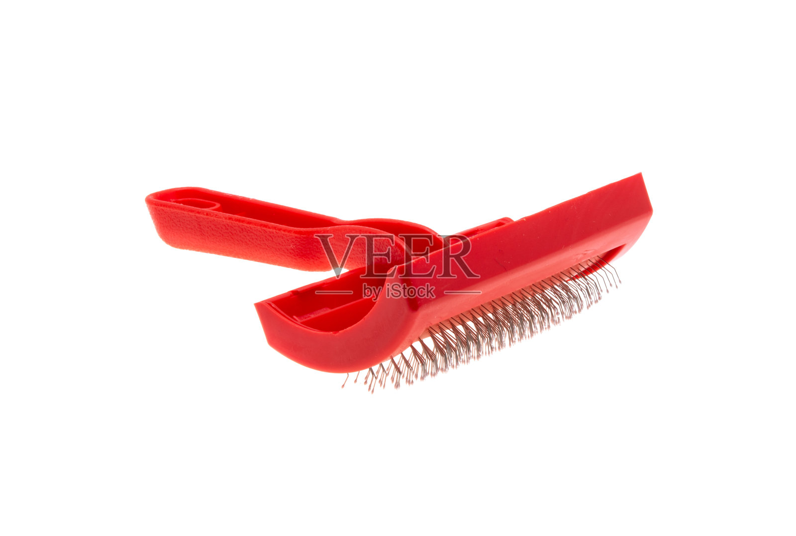 光滑动物隔离照片摄影图片